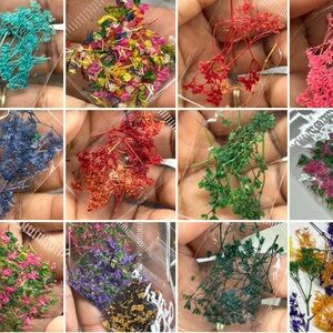 20 bags Dried Flower Set for nails